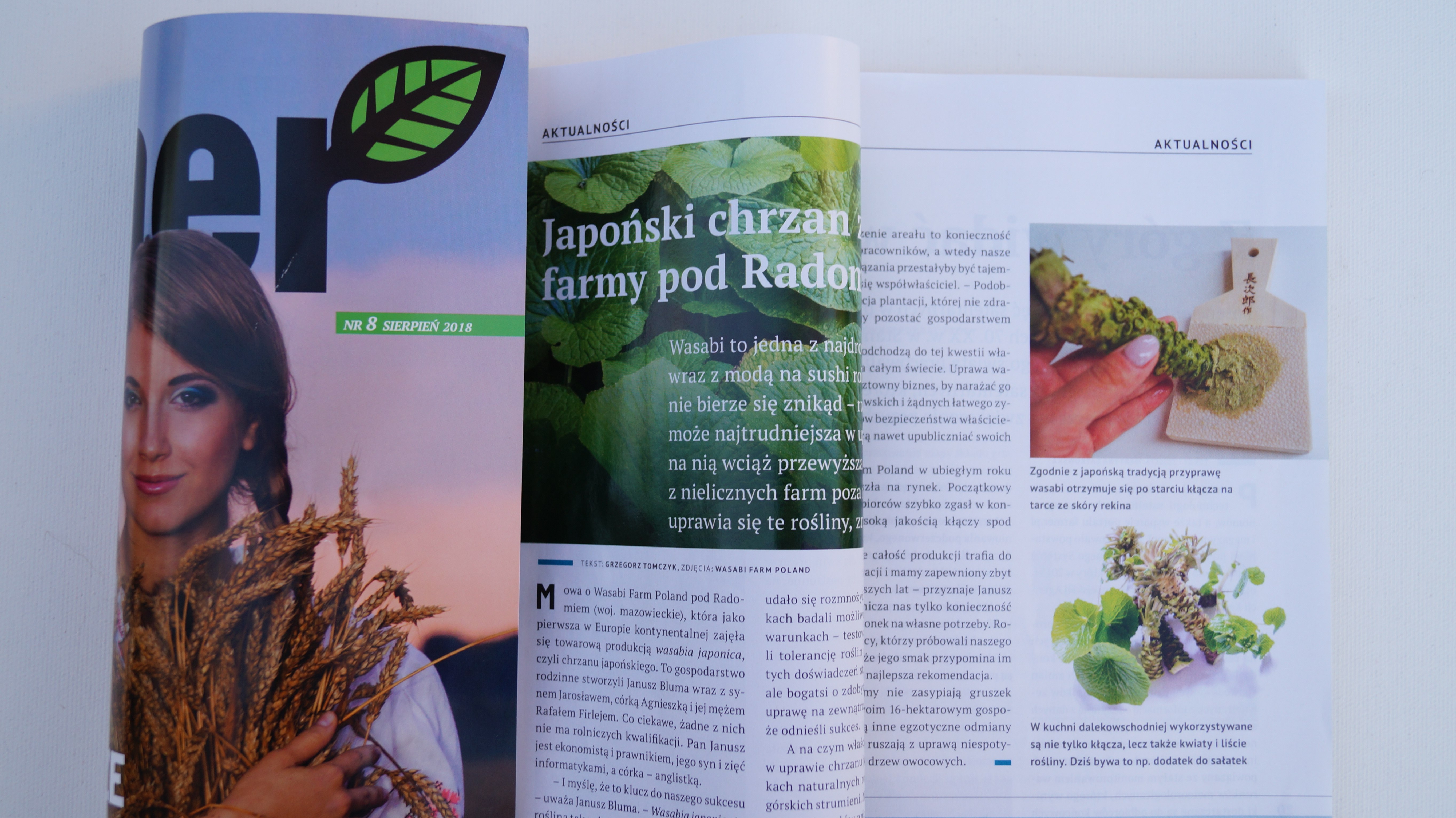 Farmer magazyn Wasabi Farm Poland